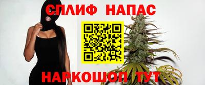 прущие грибы Северобайкальск