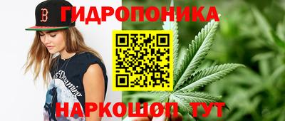 амф Севастополь